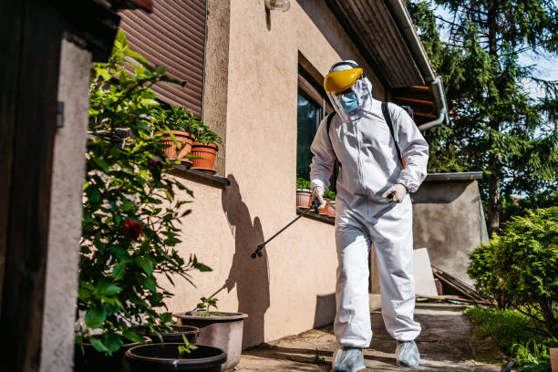 Best Pest Control for Businesses  in Nampa, ID