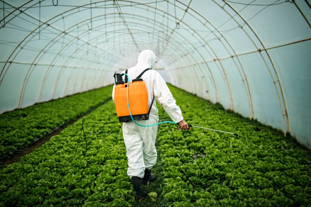 Pest Prevention Services in Nampa, ID