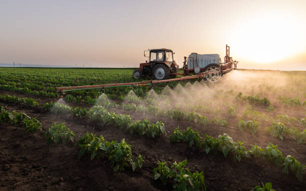 Best Best Pest Control Companies  in Nampa, ID
