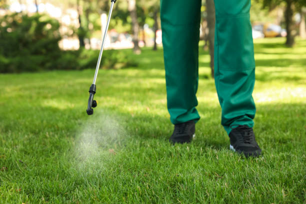 Best Rodent Control Near Me  in Nampa, ID